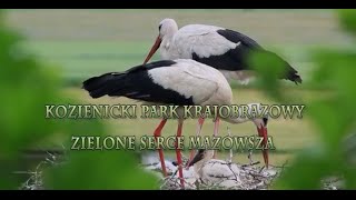 Kozienicki Park Krajobrazowy Zielone serce Mazowsza [upl. by Ettenrahc963]