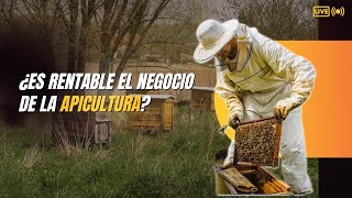 ¿Es rentable el negocio de la apicultura🐝 [upl. by Brittne712]