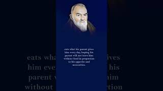 Divine Providence Padre Pios Message on Embracing Gods Plan [upl. by Anastas914]