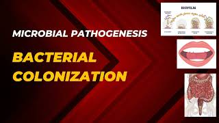 BACTERIAL COLONIZATION  ADHERANCE AND COLONIZATION  Microbial Pathogenesis  Microbiology [upl. by Balling]