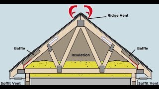 How Does Proper Attic Ventilation Protect my Roof [upl. by Rivera657]