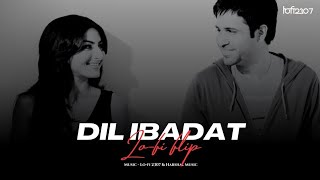 Dil Ibaadat Full Video  Tum MileEmraan HashmiSoha Ali KhanPritamKKSayeed Quadri [upl. by Esina]