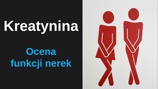 Kreatynina  marker oceny funkcji nerek [upl. by Sibylle]