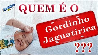 Tudo Sobre O Gordinho Jaguatirica [upl. by Adnarrim]