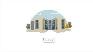 University of Warwick Accommodation  Bluebell [upl. by Hamil]