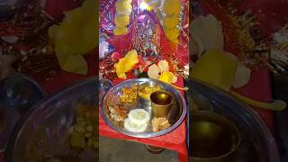 Navratris Fast food [upl. by Nilya]