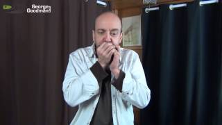 Neil Young Heart Of Gold Harmonica Lesson by George Goodman [upl. by Aleetha]