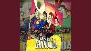 Palma Salazar En Vivo [upl. by Ainoloppa411]