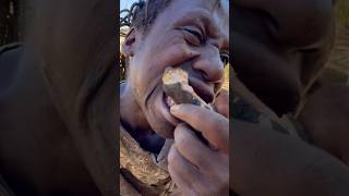 This baboon is so delicioushadzatribe foodnature documentary [upl. by Ainig]