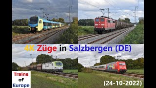 4K Züge in Salzbergen DE 24102022 [upl. by Nere461]