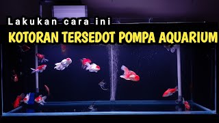 Cara agar kotoran bisa tersedot pompa filter aquarium [upl. by Lebiralc]