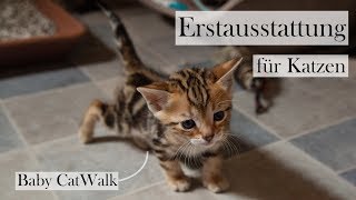 Erstausstattung für Katzen 🐱🏡 Checkliste und Tipps für die Grundausstattung  CatWalk amp AmelyRose [upl. by Nelleoj]