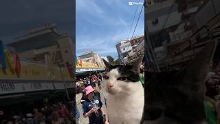 Was sind eure Malle Lifehacks 🏝️🍻ballermann tomtouché partyschlager bier kater [upl. by Tonina243]