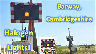 Halogen Lights Barway Level Crossing Cambridgeshire [upl. by Jaime201]