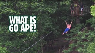 What is Go Ape A Truly Epic Zip line amp Treetop Obstacle Adventure [upl. by Huesman84]