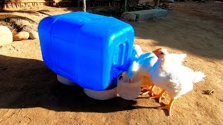 Increíble ‼ bebedero automático de 20 litros para aves 🐓🐥🦆 fácil de hacer✔  chicken drinker [upl. by Kent]