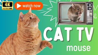 CAT TV Ultimate Mouse Entertainment for Your Cat [upl. by Birkner]