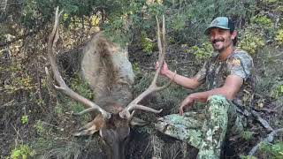 New Mexico  Elk Hunting 2024 DIY Public Land Giant 300quot  Organ Mountain Predator [upl. by Lillis]