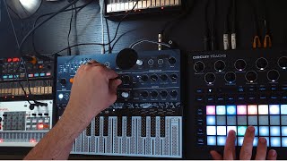 One Day at a Time Circuit Tracks Microfreak Volca FM amp Volca Sample [upl. by Hadwin]