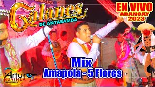 GALANES DE ANTABAMBA 2023  Mix Amapola  5 flores  EN VIVO  Arturo Huayhua [upl. by Guillermo]