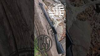 The Rossi Rio Bravo 22 LR Lever Action Rifle up Close [upl. by Lombardi981]