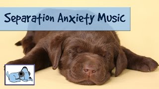 30 Minutes of Relaxing Dog Music Calming Sounds to Relax Anxious Dogs  Separation Anxiety Cured [upl. by Dira]