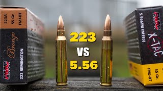 223 vs 556  Whats the Difference [upl. by Elda]