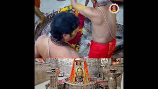 ఉజ్జయిని జ్యోతిర్లింగ దర్శనం  Mahakaleshwar Jyotirlinga Temple  Sripada Srivallabha Tv [upl. by Bosch]