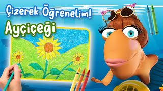 ÇİZEREK ÖĞRENELİM  AYÇİÇEĞİ [upl. by Furie]