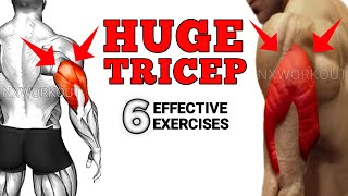 Close Grip Bench Press  Tricep Workout  Big Arm Huge Tricep [upl. by Ecilayram26]