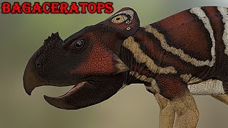 bagaceratops [upl. by Eneleahs]