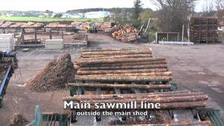 Secondary Economic Activity Gordons sawmill [upl. by Luap]