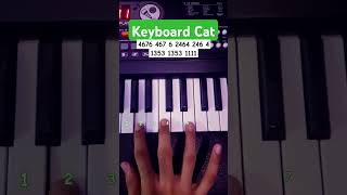 Keyboard Cat Easy Piano Tutorial meme viral shorts [upl. by Atirres551]