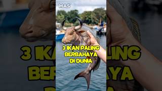 3 ikan paling berbhaya di dunia Nomor 3 bahaya banget shorts [upl. by Ilhsa]