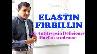 Elastin and Fibrillin  α1 Antitrypsin Deficiency and Marfan Syndrome [upl. by Philly]