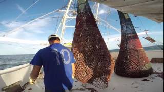 NOAA Fisheries Service Galveston Laboratory Shrimp Fishery Observer Protocol [upl. by Ecnar]