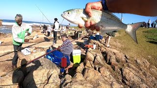 Shad Is Biting On The South Coast [upl. by Stine]