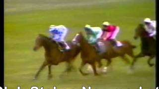 1981 Jockey Club Stakes Newmarket Master Willie Henbit Full Race [upl. by Paugh]