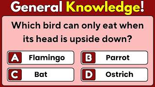 Trivia  Quiz  General Knowledge  General Knowledge Quiz  Mixed Trivia  Pub Quiz  GK Quiz  GK [upl. by Hsivat]