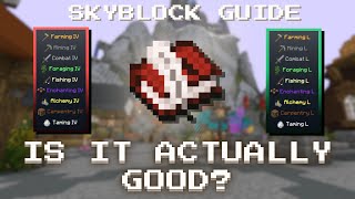 How Good is the Skyblock Guide By The Book Episode 1 [upl. by Mitchell]