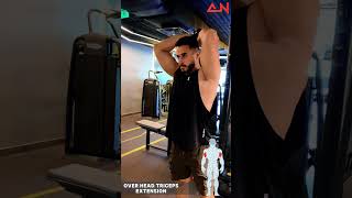 Overhead Triceps Cable Extension [upl. by Dragde]