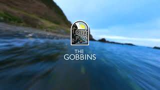 The Gobbins Cliff Path [upl. by Ravilob475]