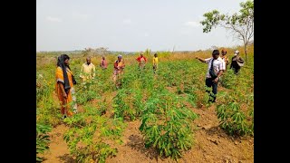 Sytèmes de production agroécologique resilients [upl. by Solegnave]