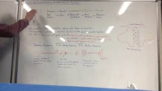 AQA Biology B5  4521 Structure and Function of the Nervous System [upl. by Dauf998]