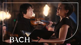 Bach  Jauchzet frohlocket from Christmas Oratorio BWV 248  Sato  Netherlands Bach Society [upl. by Ylekalb]