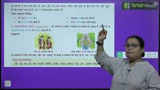 BRAIN ROOT HINDI VYAKRAN CLASS 3 CHAPTER 13 AVIKARI SHABD [upl. by Gris]