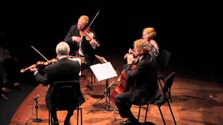 Dvorak String Quartet op51 3rd movement [upl. by Earleen633]