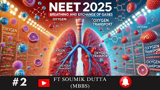 Breathing And Exchange of Gases  NEET 2025  Exchange of Gases  Class 11 Biology  NCERT [upl. by Rosalee]