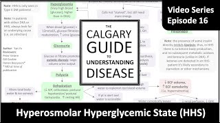 Hyperosmolar Hyperglycemic State HHS [upl. by Lothair572]