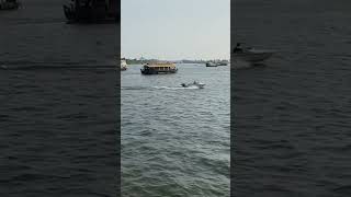 Boating at Punnamada Kayal Alappuzha lake houseboat allepy dabzee 2024 kuttanad keralatourism [upl. by Aldarcy801]